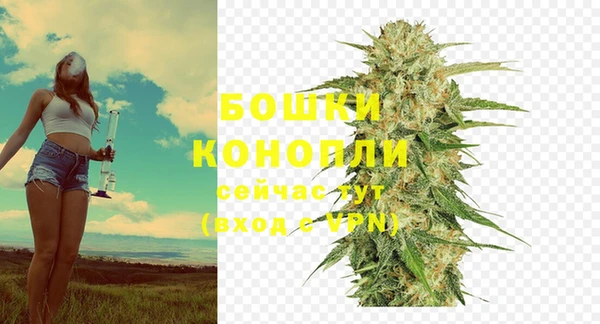 хмурый Белоозёрский