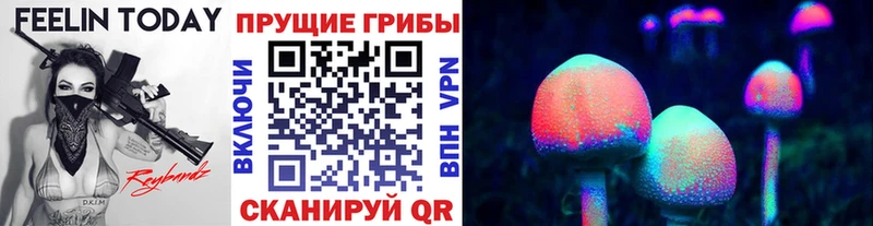 OMG сайт  Короча  Галлюциногенные грибы MAGIC MUSHROOMS 